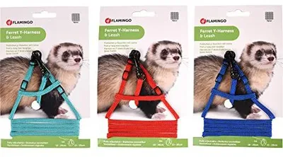 Zdjęcie produktu dla Szelki i smycz dla fretki Flamingo