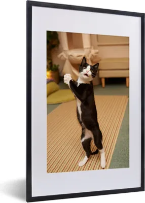 Produktbild von MuchoWow® MuchoWow® Gerahmtes Poster Katze - Wohnzimmer - Schwarz 40x60 cm - Poster mit zchwarzem Bilderrahmen - Poster in Rahmen