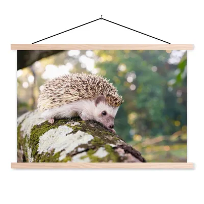 Produktbild von MuchoWow® Textilposter Kriechender Igel auf einem Ast 120x80 cm mit holzfarbenen Rahmen - Aufhängeset