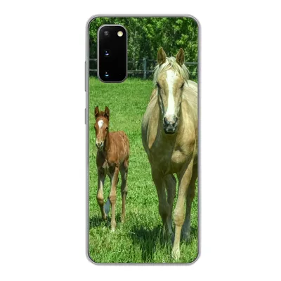 Produktbild von MuchoWow® Handyhülle Schutzhülle Hülle für Samsung Galaxy S20 Pferd - Fohlen - Tiere Silikon Softcase Handy Hülle - Bild