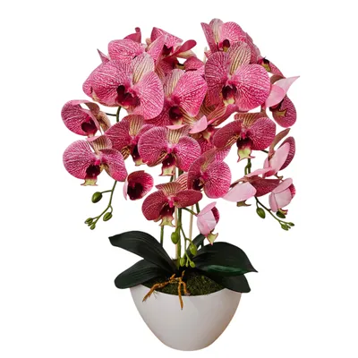 Produktbild von Damich künstliche Orchidee aus Gummi weißer Topf 3pgrk2