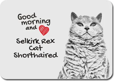 Produktbild von Selkirk Rex Katze Kurzhaar - Mauspad mit Druck, personalisiertes Mauspad mit Katze, einzigartiges Gadget für Büroangestellte von Art-Dog.
