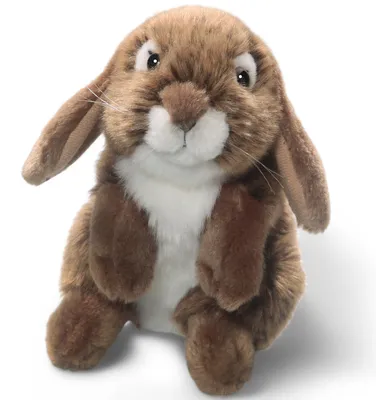 Immagine prodotto di Carl Dick, coniglio marrone di circa 18 cm, peluche, peluche, peluche 3715
