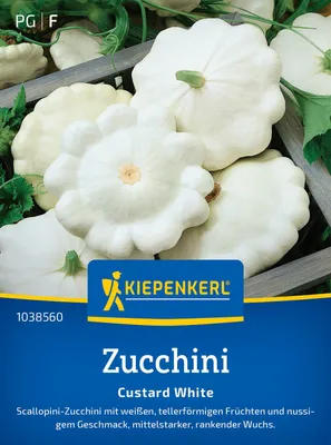 Produktbild von Kiepenkerl Zucchinisamen Custard White Cucurbita pepo 10 Pflanzen