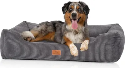 Produktbild von Knuffelwuff Hundebett aus Cord mit Handwebcharakter Olivia in grau S