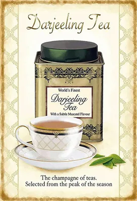 Produktbild von vianmo Holzschild 30x20 cm Darjeeling Tea champagne of teas