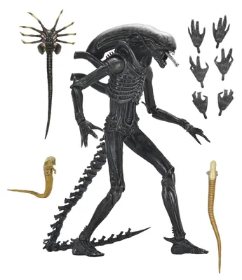 Xenomorph XX121 Action-Figur 18 cm Alien: Romulus