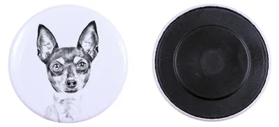 Immagine prodotto di Toy Fox Terrier, American Toy Terrier, Amertoy Magnete con impronta di zampa di cane, eccezionalmente leggero, magnete potente, prodotto artigianale del marchio Art-Dog