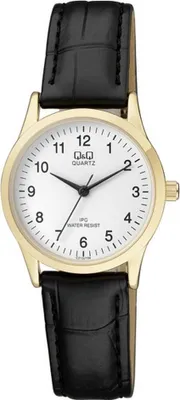 Obrázek produktu pro Q&Q hodinky C213J104Y