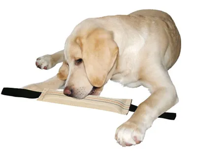 Produktbild von Kerbl Trainingsdummy für Hunde 31 cm schwimmfähig
