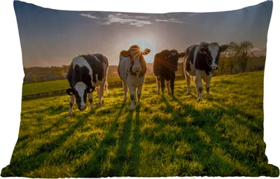 Produktbild von MuchoWow® Outdoor Kissen - Kühe - Sonne - Gras - Tiere - Bauernhof - 60x40 cm - Wetterfest - Lounge Kissen - Zierkissen - Kissen für Innenräume