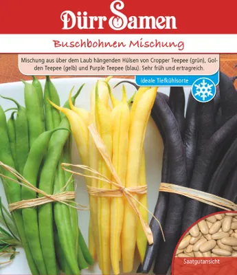 Produktbild von Buschbohne grün-, gelb- & blauhülsige Buschbohnemischung | Buschbohnensamen von Dürr Samen