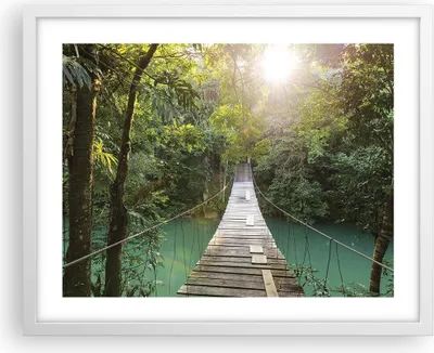 Produktbild von Gerahmtes Poster - Weißer Rahmen - Brücke Seil Dschungel - 50x40 cm - Wand Bild - Wanddeko - Wandbilder - Kunstposter - Wandposter - Bilderrahmen - Bilder - Kunstdruck - P2WAA50x40-4397