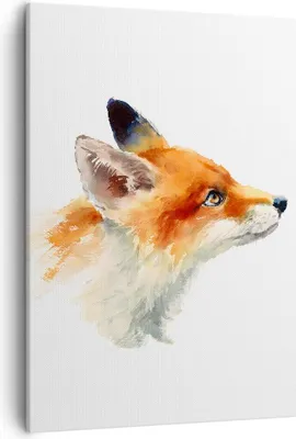 Produktbild von Bild auf Leinwand - Leinwandbild - Einteilig - Fuchs Tier Natur - 50x70cm - Wand Bild - Wanddeko - Wandbilder - Leinwanddruck - Kunstdruck - Wanddekoration - Leinwand bilder - Wandbild - PA50x70-3904