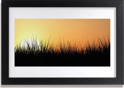 Produktbild von Bild 30x20 MDF-Rahmen Wandkunst Gras Natur Pflanze
