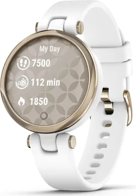 Image de Montre intelligente GARMIN Lily