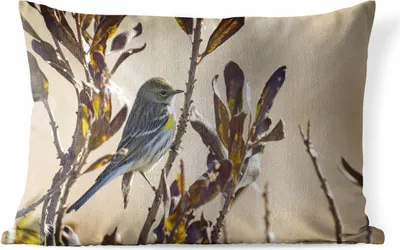 Produktbild von MuchoWow® Outdoor Kissen - Vogel zwischen einem Zweig mit Blättern - 60x40 cm - Wetterfest - Lounge Kissen - Zierkissen - Kissen für Innenräume