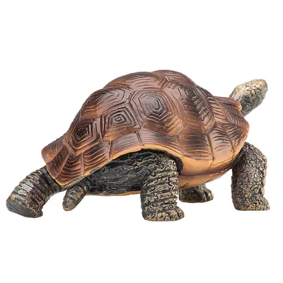 Zdjęcie produktu dla Mojo Fun Giant Tortoise, 3 lat(a), Wildlife, Brązowy, Polichlorek winylu (PVC)