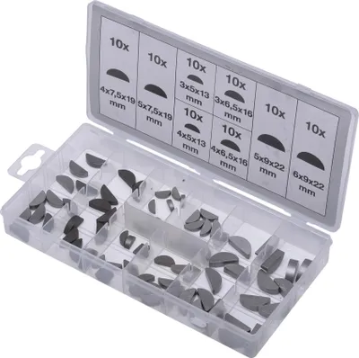 Immagine prodotto di Assortimento di cunei a molla in acciaio SW, 80 pezzi S8064