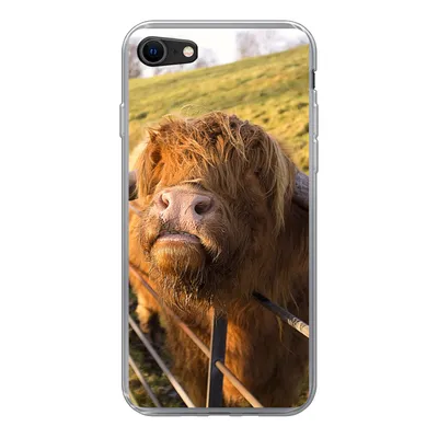 Produktbild von MuchoWow® Handyhülle Schutzhülle Hülle für iPhone 8 Scottish Highlander - Zaun - Gras Silikon Softcase Handy Hülle - Schutzhaube