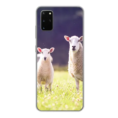Produktbild von MuchoWow® Handyhülle Schutzhülle Hülle für Samsung Galaxy S20 Plus Schaf - Lamm - Blumen Silikon Softcase Handy Hülle - Hartschale