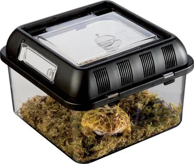 Produktbild von Famanu Terrarium Stapelbar mit Futteröffnung - 205 x 205 x 15 cm