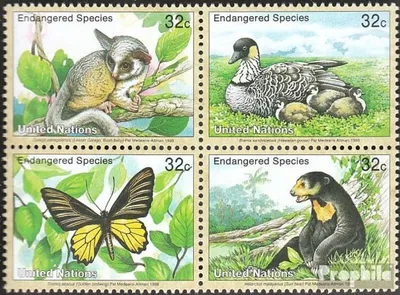 Produktbild von Briefmarken UNO - New York 1998 Mi 767-770 Viererblock (kompl.Ausg.) gestempelt Gefährdete Tiere