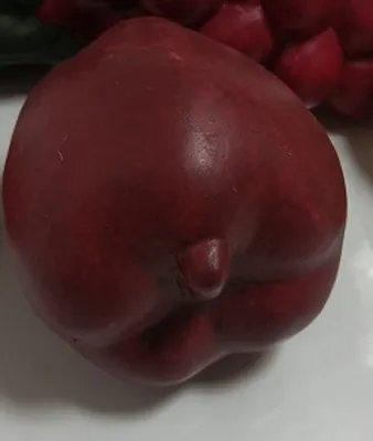 Einzelne dunkelrote Frucht die einen Apfel darstellt. Die Oberfläche der Frucht ist glatt und glänzt