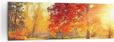 Produktbild von Bild auf Leinwand - Leinwandbild - Park Herbst Baum - 160x50cm - Wand Bild - Wanddeko - Wandbilder - Leinwanddruck - Bilder - Kunstdruck - Wanddekoration - Leinwand bilder - Wandkunst - AB160x50-3654