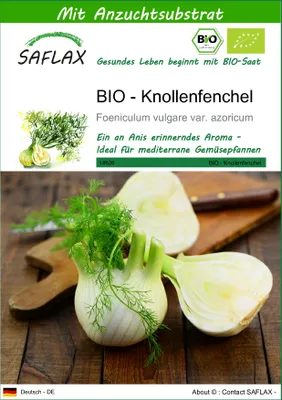 Produktbild von SAFLAX - BIO - Knollenfenchel - Foeniculum vulgare var. azoricum - 100 Samen - Mit keimfreiem Anzuchtsubstrat