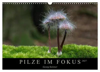 Produktbild von PILZE IM FOKUS 2027 (Wandkalender 2027 DIN A3 quer), CALVENDO Monatskalender