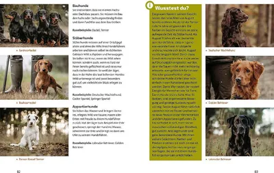 Produktbild von Das Jagdbuch für Kids