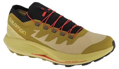 Image de Salomon - Baskets « Pulsar Trail Pro 2 » pour homme PP9594 (47,5 EU) (vert)