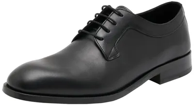 Zdjęcie produktu dla Limber_Derb_lt 10269715 01