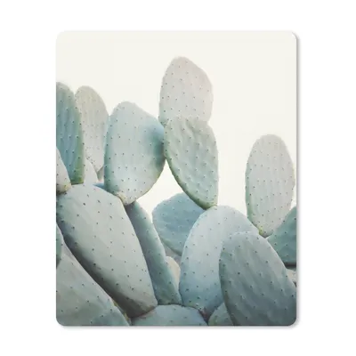 Produktbild von MuchoWow® Mauspad Mousepad Pflanze - Grün - Kaktus - Natur 19x23 cm - Mousepads - Maus Mat - Pad - Mausunterlage - Mauspads - Spielen