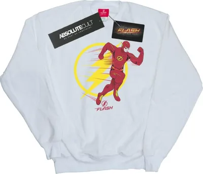 Produktbild von DC Comics - Sweatshirt für Herren BI23375 (L) (Weiß)