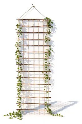 Produktbild von Floranica Rankhilfe 150 x 30cm Rankgitter aus Ökologische Weide für den Garten Balkon und Terrasse für Kletterpflanzen