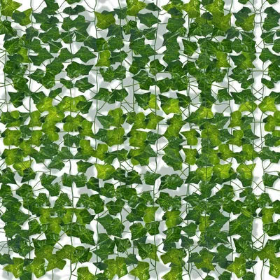 Image de Guirlande de lierre artificiel (36 éléments), 77 mètres de guirlande de lierre artificiel, lierre artificiel pour le bureau, la cuisine, le jardin, les fêtes, la décoration murale