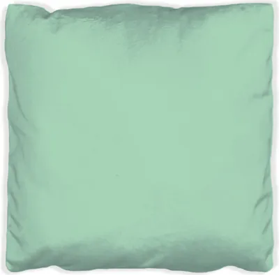 Produktbild von Wallario Premium Kissen, weiche Oberfläche, mit Motiv Pastellgrün, Größe: 40 x 40 cm, mit weißer Rückseite