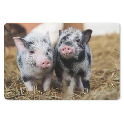 Produktbild von MuchoWow® Mauspad Mousepad Schwein - Tiere - Ferkel 27x18 cm - Mousepads - Maus Mat - Pad - Mausunterlage - Büroartikel - Desk Matten