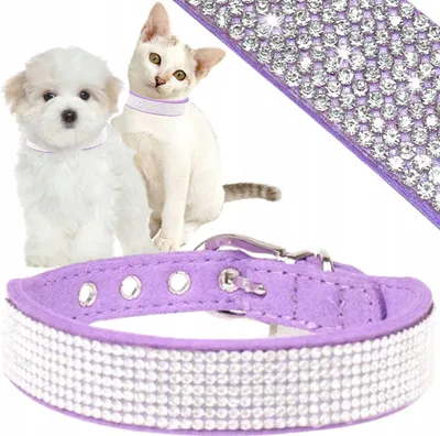 Obrázok produktu pre PETSTORY Elegantný obojok pre domáce zvieratá fialový S so zirkónmi