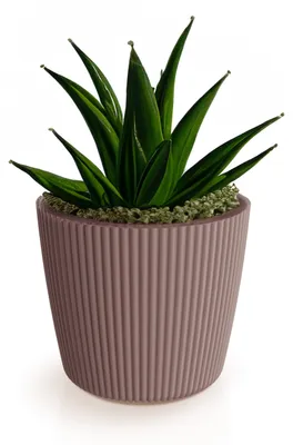 Produktbild von Prosperplast Pflanztopf Buckingham - terra braun - D39 cm