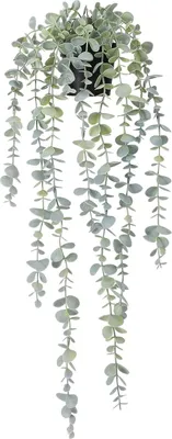Produktbild von Künstliche Hängepflanzen Eukalyptus künstliche Hängepflanze 1 St