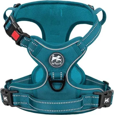 Immagine prodotto di Pettorina riflettente per cani - regolabile e morbidamente imbottita - per cani di piccola taglia - verde-blu - taglia S