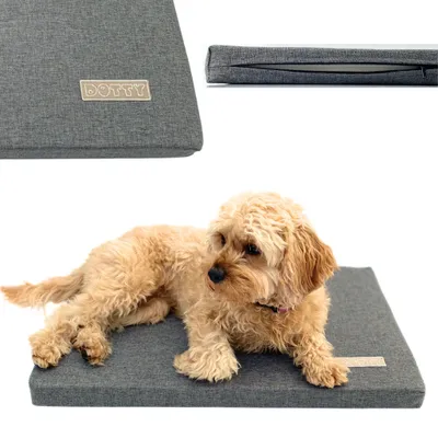 Produktbild von Hundematte DOTTY S 60x40 cm grau – bequemes Hundebett für kleine Hunde, Reisematte Auto & Hundebox, wasserabweisend, robust & waschbar