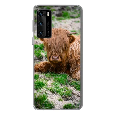 Produktbild von MuchoWow® Handyhülle Schutzhülle Hülle für Huawei P40 Schottischer Highlander - Heu - Gras Silikon Softcase Handy Hülle - Handytasche