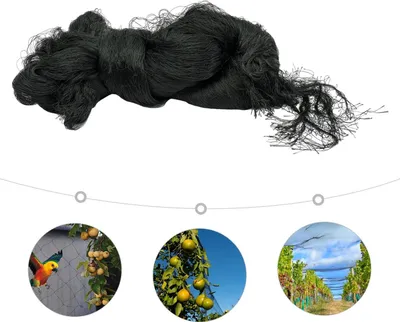 Produktbild von Vogelschutznetz - Nylon Vogelnetz/Gartennetz - Pflanzenschutz Für Garten Und Anbau - Für Hühnerstall/Voliere - Reißfest - Schwarz