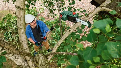 Produktbild von Cordless Pole Saw UniversalChainPole 18