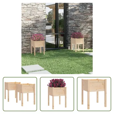 Image de The Living Store bac à plantes 2 pcs 50x50x70 cm pin massif