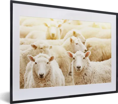 Produktbild von MuchoWow® Gerahmtes Poster Schafe - Wolle - Weiß 40x30 cm - Poster mit Schwarzem Bilderrahmen Wandposter Rahmen Foto Bilder - Bilderrahmen - Poster im Rahmen